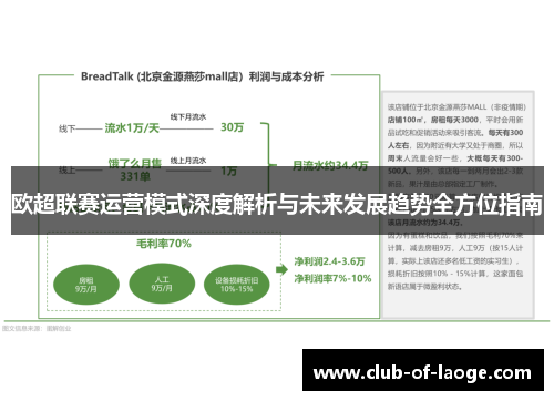 欧超联赛运营模式深度解析与未来发展趋势全方位指南