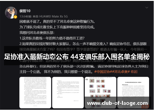 足协准入最新动态公布 44支俱乐部入围名单全揭秘 足协准入最新动态公布 44支俱乐部入围名单全揭秘