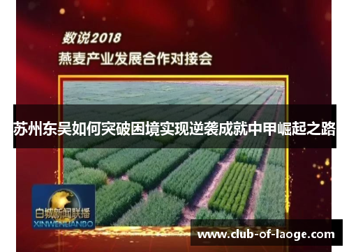 苏州东吴如何突破困境实现逆袭成就中甲崛起之路 苏州东吴如何突破困境实现逆袭成就中甲崛起之路