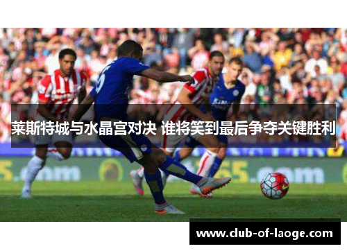 莱斯特城与水晶宫对决 谁将笑到最后争夺关键胜利 莱斯特城与水晶宫对决 谁将笑到最后争夺关键胜利