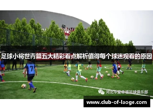 足球小将世青篇五大精彩看点解析值得每个球迷观看的原因 足球小将世青篇五大精彩看点解析值得每个球迷观看的原因