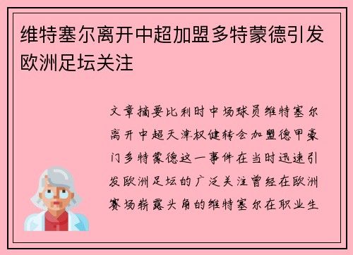 维特塞尔离开中超加盟多特蒙德引发欧洲足坛关注